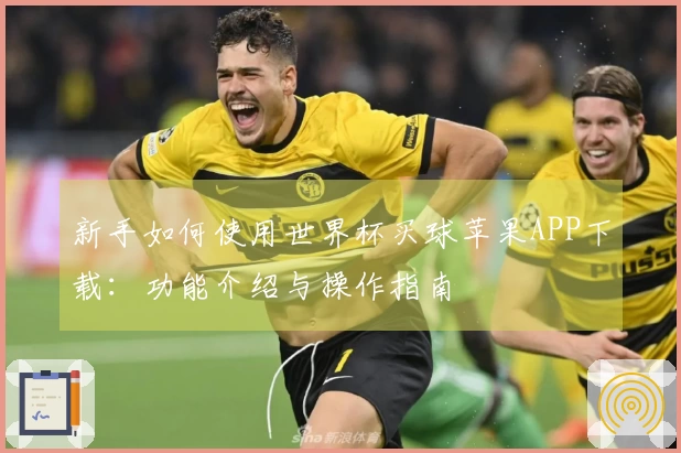 新手如何使用世界杯买球苹果APP下载：功能介绍与操作指南