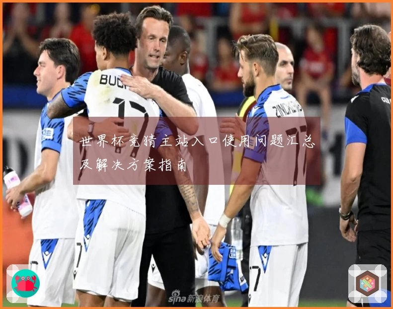 世界杯竞猜主站入口使用问题汇总及解决方案指南