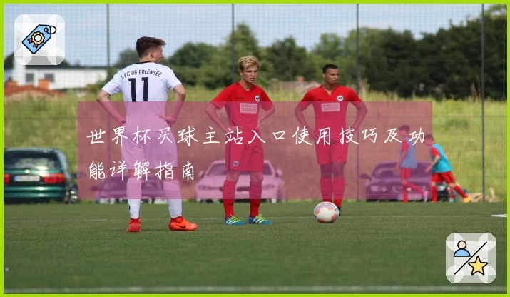 世界杯买球主站入口使用技巧及功能详解指南