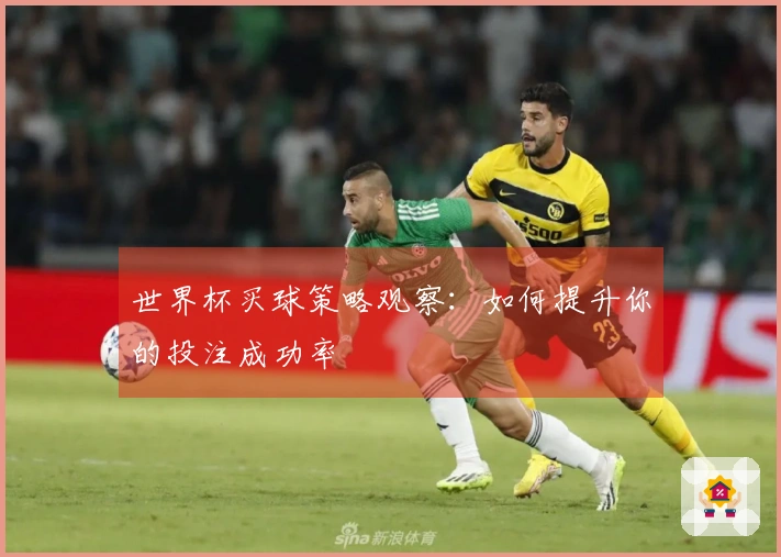 世界杯买球策略观察：如何提升你的投注成功率