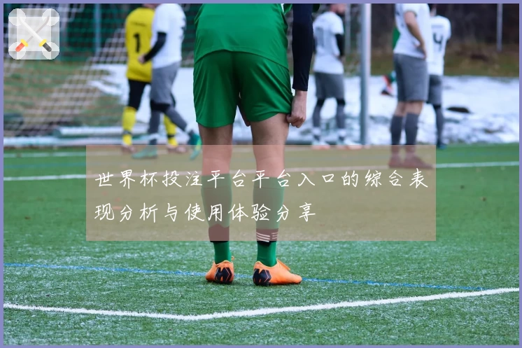 世界杯投注平台平台入口的综合表现分析与使用体验分享