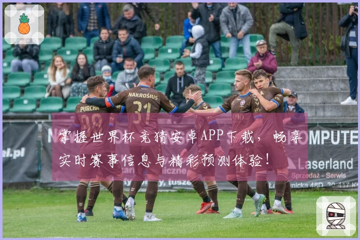 掌握世界杯竞猜安卓APP下载，畅享实时赛事信息与精彩预测体验！
