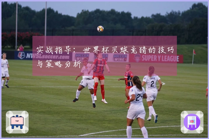 实战指导：世界杯买球竞猜的技巧与策略分析
