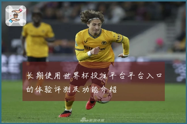 长期使用世界杯投注平台平台入口的体验评测及功能介绍