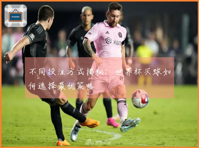 不同投注方式揭秘：世界杯买球如何选择最优策略