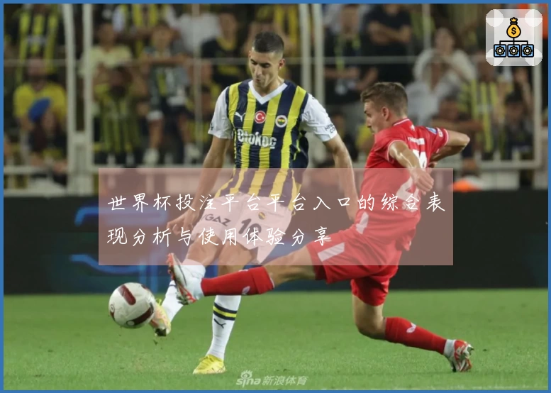 世界杯投注平台平台入口的综合表现分析与使用体验分享